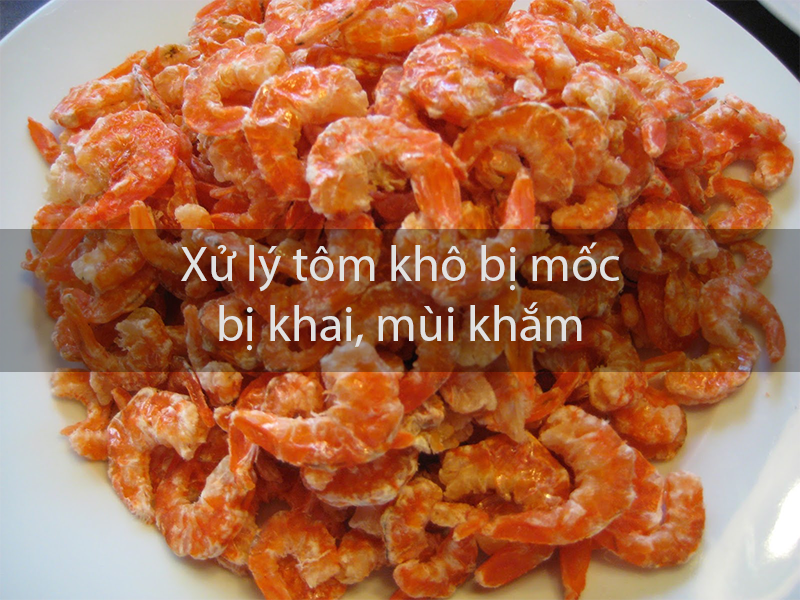 Cách Xử Lý Tôm Khô Bị Hôi