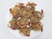 Tôm lụi
