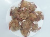 Tôm lụi